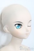 画像4: DDdy/一騎当千:呂蒙子明 S-25-08-17-360-GN-ZS (4)