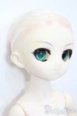 画像4: MDD/斬魔大聖デモンベイン:アル・アジフ S-25-08-17-393-GN-ZS (4)