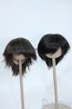 画像: 8-9inch/ウィッグ Y-25-11-26-119-GN-ZY