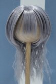 画像1: 【新宿マルイアネックス店 店頭販売商品】9-10inch/ウィッグ 2100150000014534-ZM (1)