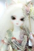 画像1: 【新宿マルイアネックス店 店頭販売商品】DEARMINE/IRENE ~Creature Tail~ 2100150000014736-ZM (1)