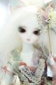 画像: 【新宿マルイアネックス店 店頭販売商品】DEARMINE/IRENE ~Creature Tail~ 2100150000014736-ZM