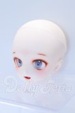 画像3: DDH-27/カスタムヘッド S-26-08-09-005-GN-ZS (3)