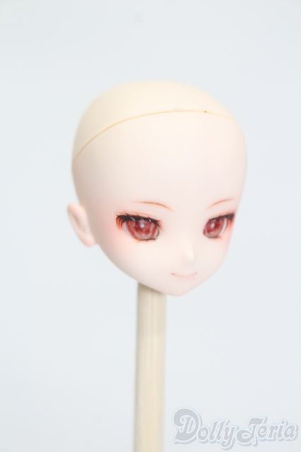 画像3: 1/12ドール/SIMPUヘッドカスタム S-25-07-20-235-GN-ZS (3)