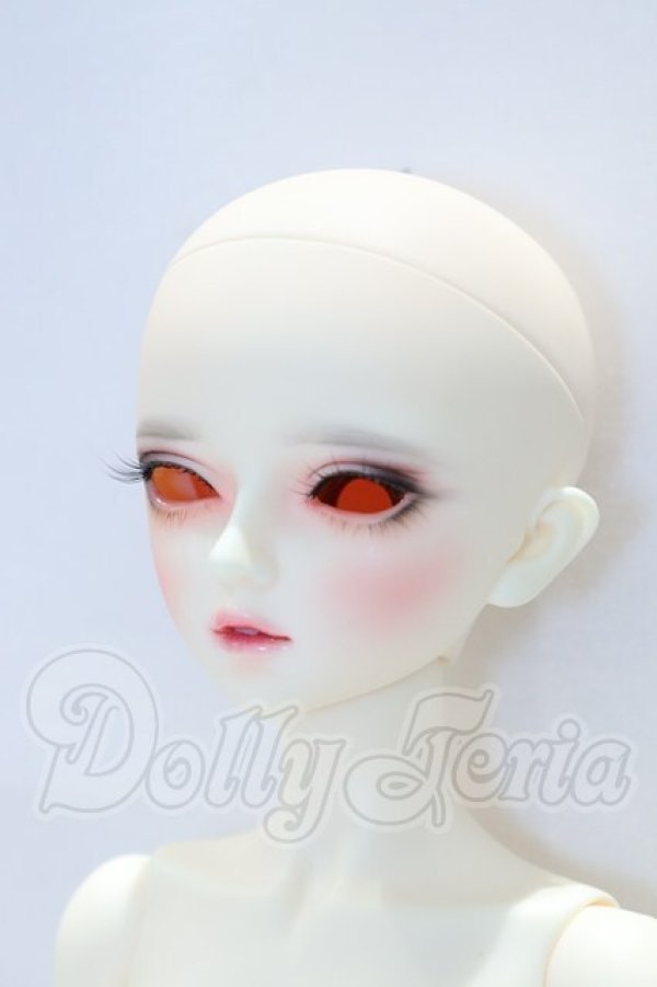 画像3: LITTLE MONICA/Little Monica Head N+Little Girl Echo Body N S-26-03-08-002-GN-ZS (3)