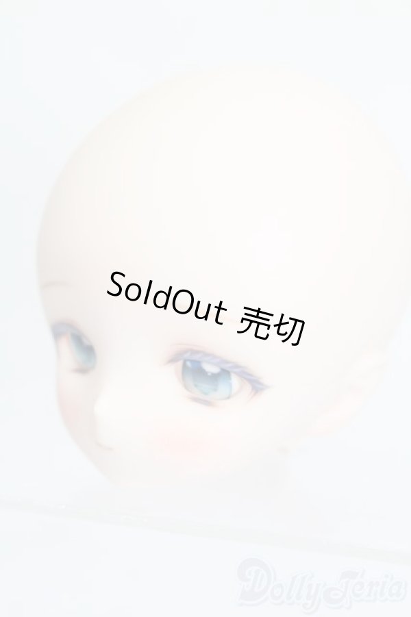 画像2: DD/DDH-01カスタムヘッド S-25-12-21-355-GN-ZS (2)