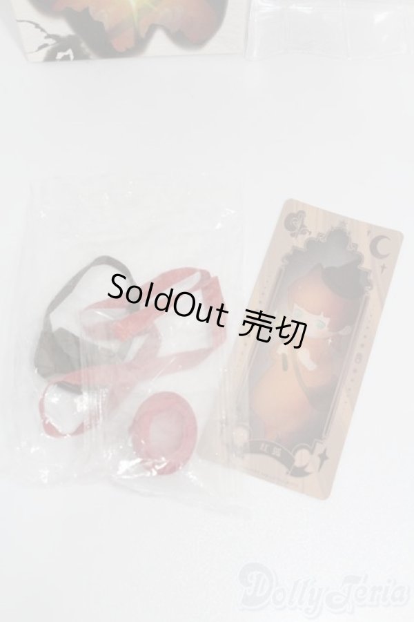 画像6: PENNY'S BOX/木偶国 小さな画家と魔女 S-25-07-27-018-GN-ZS (6)