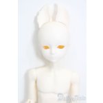 画像: elfinstore/ノアS S-25-07-27-001-GN-ZS