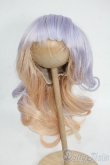 画像1: 10-11inch/ウィッグ Y-26-01-21-223-GN-ZY (1)