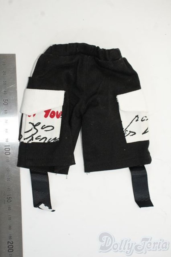 画像2: SDM＆MSD/OF:パンツ Y-25-12-17-106-GN-ZY (2)