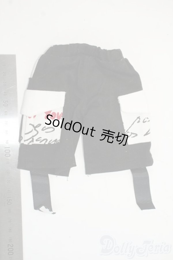 画像2: SDM＆MSD/OF:パンツ Y-25-12-17-106-GN-ZY (2)