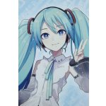 画像: 【新宿マルイアネックス店 店頭販売商品】DD/初音ミク NT 2100150000015116-ZM