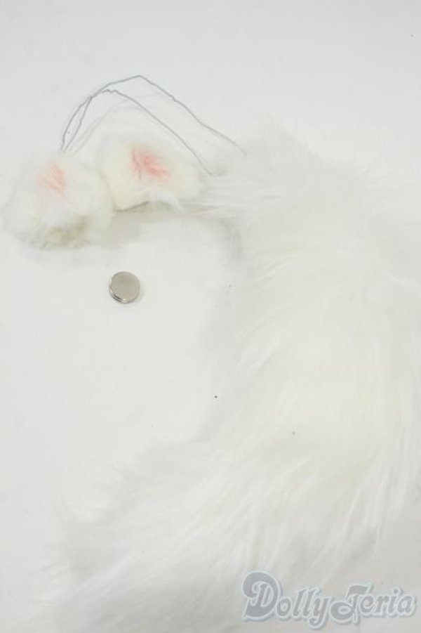 画像1: MDD/OF:小物 Y-25-12-03-093-GN-ZY (1)