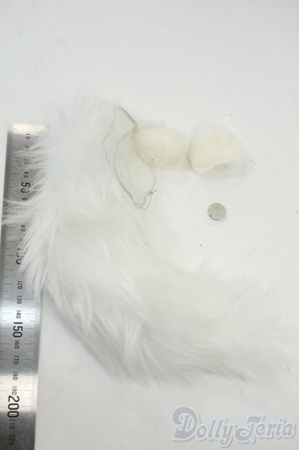 画像2: MDD/OF:小物 Y-25-12-03-093-GN-ZY (2)