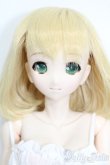 画像1: azone/アイリスコレクト:ノワ/Merry snow S-25-08-03-114-GN-ZS (1)