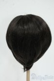 画像2: 9-10inch/ウィッグ Y-25-12-17-060-GN-ZY (2)