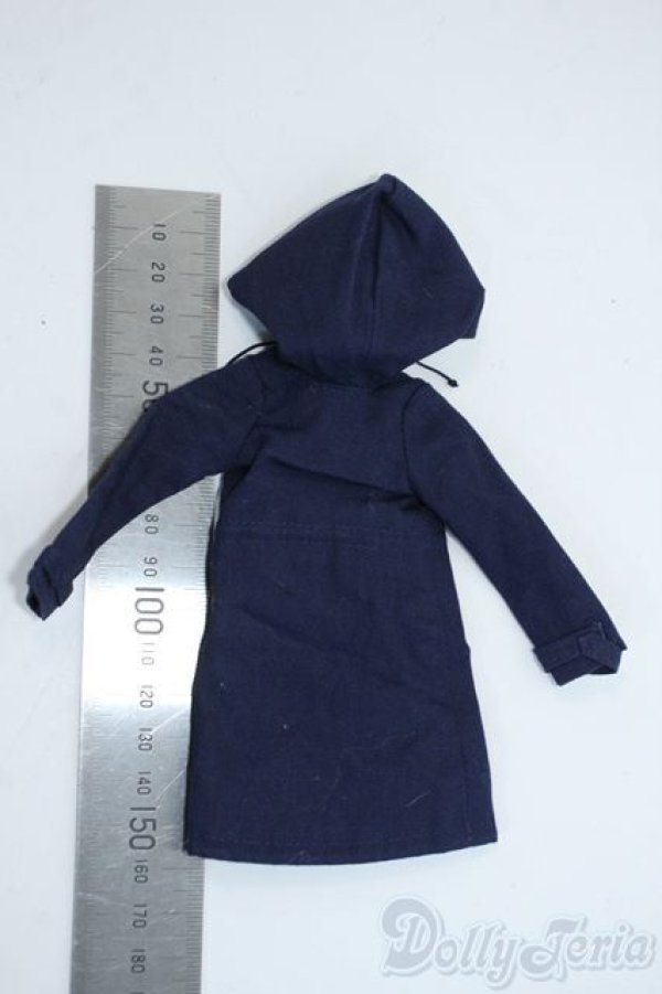 画像2: azoneピュアニーモ/OF:23cmサイズドール　衣装 Y-25-11-26-142-GN-ZY (2)