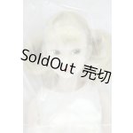 画像: momoko/CCS-momoko 14AN PK S-25-09-28-006-GN-ZS