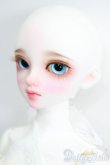 画像3: Dollsn/Luna Orange ver. S-25-08-03-103-GN-ZS (3)