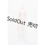 画像: MDD/ベースボディ(DD-f3) S-25-08-03-101-GN-ZS