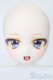 画像1: DD/DDH-29:燈籠茶屋様カスタムヘッド S-25-08-10-053-GN-ZS (1)