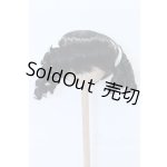 画像: 9inch/ウィッグ S-26-07-12-472-GN-ZS