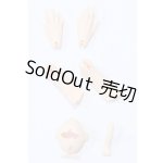 画像: Coral Reef Doll /手足パーツ :1/4 Boy Body Mermaid Ver. (虎?体?人) S-26-05-17-403-GN-ZS