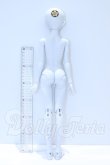 画像6: XAGADOLL/Fianna S-26-04-19-001-SK-ZS (6)