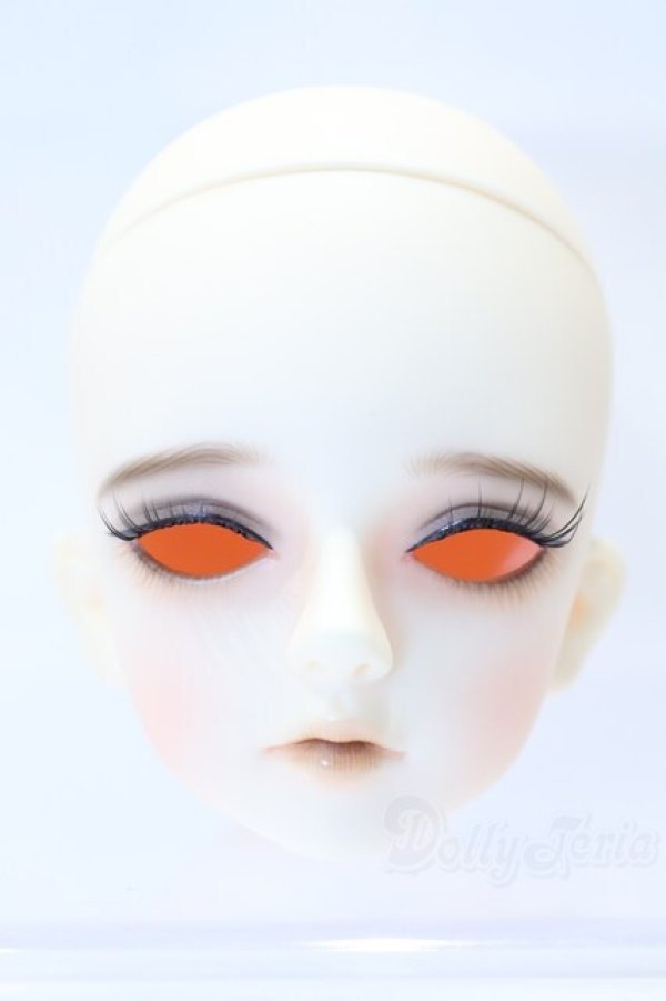 画像1: LITTLE MONICA/Little Kliff ヘッド S-25-12-28-057-SK-ZS (1)