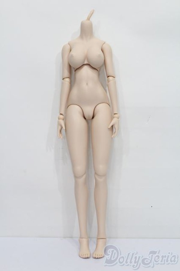 画像1: DDdy/ベースボディ S-25-08-10-110-SK-ZS (1)