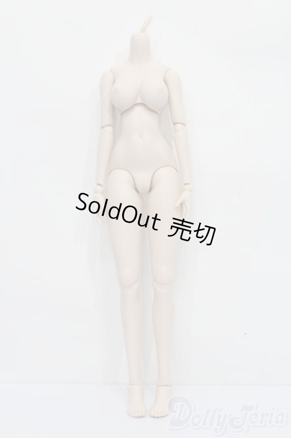 画像1: DDdy/ベースボディ S-25-11-02-483-SK-ZS (1)