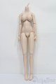 画像: DDdy/ベースボディ S-25-08-10-110-SK-ZS
