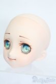 画像2: DD/DDH-04:カスタムヘッド S-25-08-10-189-SK-ZS (2)