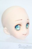画像3: DD/DDH-04:カスタムヘッド S-25-08-10-189-SK-ZS (3)