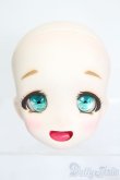 画像1: DD/DDH-04:カスタムヘッド S-25-08-10-186-SK-ZS (1)