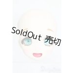 画像: DD/DDH-04:カスタムヘッド S-26-01-18-361-SK-ZS