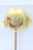画像1: 8-9inch/ウィッグ S-26-01-18-098-SK-ZS (1)