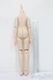 画像2: MDD/ベースボディ(DD-f3) S-25-08-10-113-SK-ZS (2)