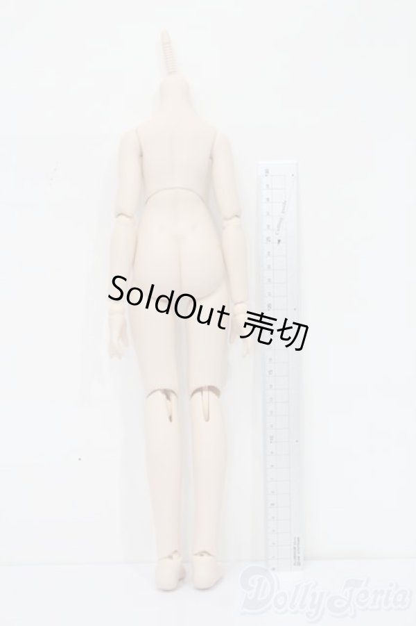 画像2: MDD/ベースボディ(DD-f3) S-25-08-10-113-SK-ZS (2)