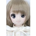 画像: DDS/DDH-04ヘッド＋ボディ S-25-08-10-008-SK-ZS