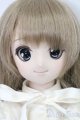 画像: DDS/DDH-04ヘッド＋ボディ S-25-08-10-008-SK-ZS