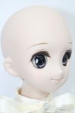 画像4: DDS/DDH-04ヘッド＋ボディ S-25-08-10-008-SK-ZS (4)