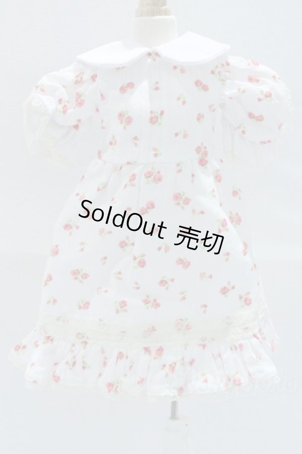 画像1: SDM＆MSD/OF:ワンピース S-25-12-07-018-SK-ZS (1)