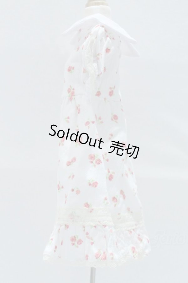 画像2: SDM＆MSD/OF:ワンピース S-25-12-07-018-SK-ZS (2)