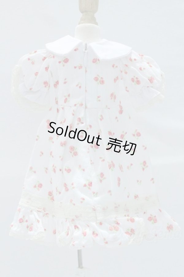 画像3: SDM＆MSD/OF:ワンピース S-25-12-07-018-SK-ZS (3)