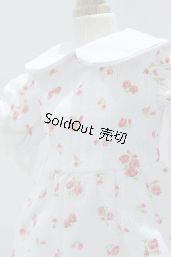 画像4: SDM＆MSD/OF:ワンピース S-25-12-07-018-SK-ZS (4)