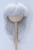 画像1: 7-8inch/ウィッグ S-26-01-18-093-YB-ZS (1)