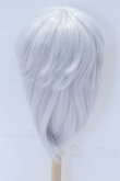 画像2: 7-8inch/ウィッグ S-26-01-18-093-YB-ZS (2)