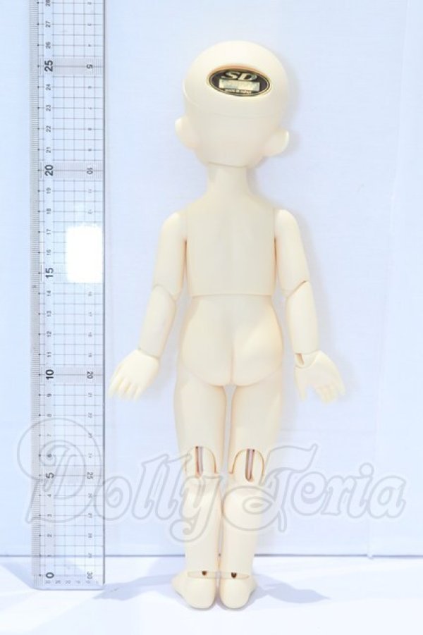 画像7: 幼SD/リリィ S-26-04-12-054-SK-ZS (7)