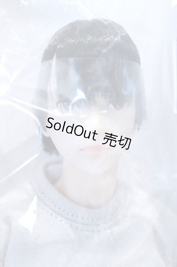 画像1: 六分の一男子図鑑/エイト B2207 S-26-02-15-444-SK-ZS (1)